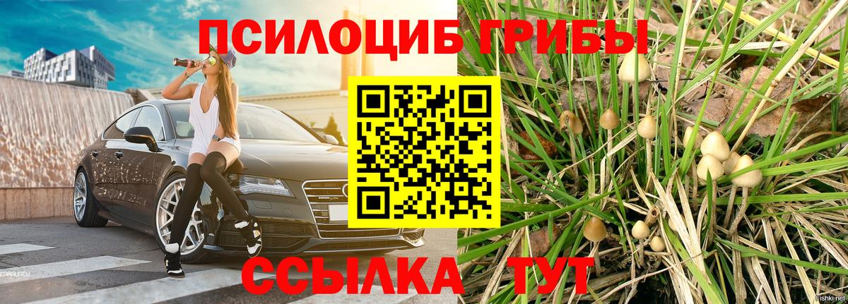 Галлюциногенные грибы мицелий  Вход с VPN  Галлюциногенные грибы MAGIC MUSHROOMS  Гай 